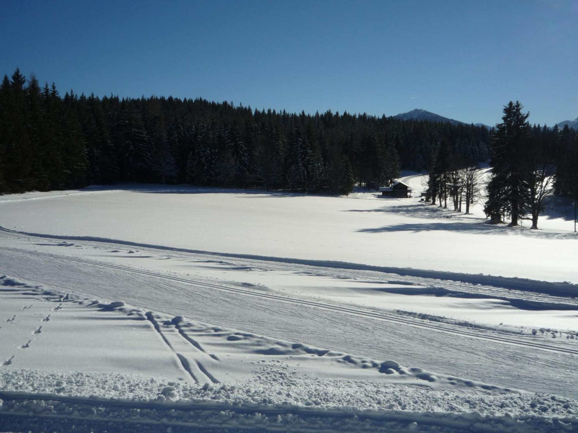 Kraftplatz Am Dachstein - Herold - Fuer Ruhesuchende Und Sportlich Aktive Ramsau am Dachstein Ngoại thất bức ảnh